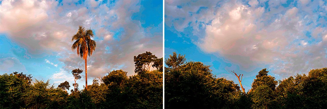 Paisagens Interrompidas 9.jpg